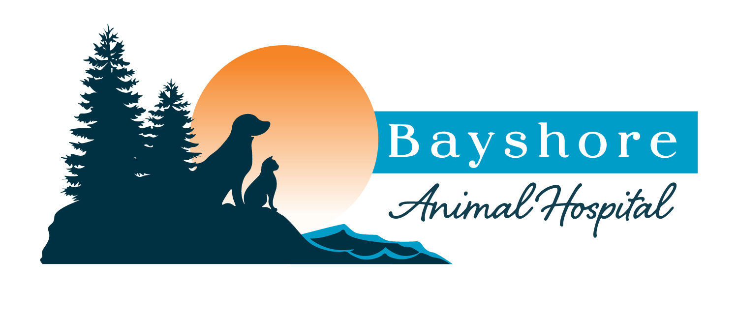 Bayshore Animal Hospital