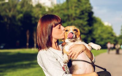 3 Ways to Help Less Fortunate Pets