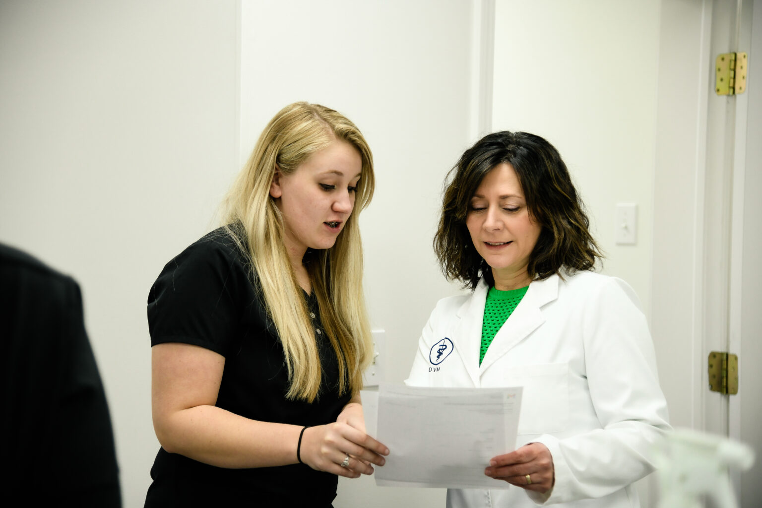 Best Vet In Charlevoix, MI Bayshore Animal Hospital